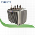 Oil Immersed Amorphous Alloy Transformer